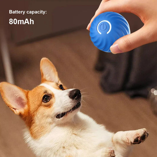 Smart Dog Interactive Pet Toy