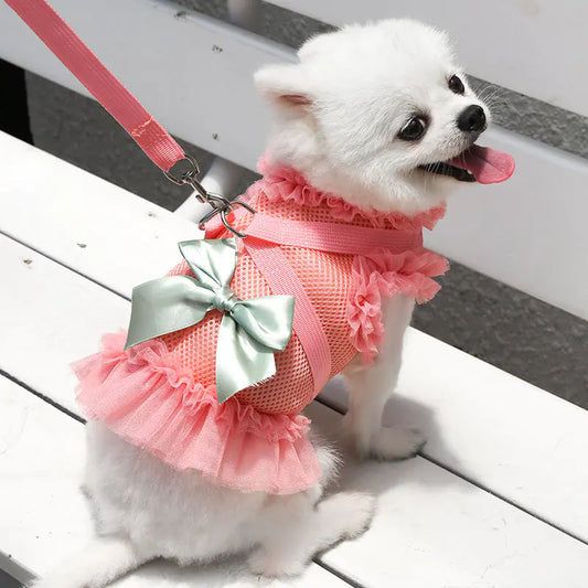 Breathable Mesh Skirt with Chest Strap for Dogs